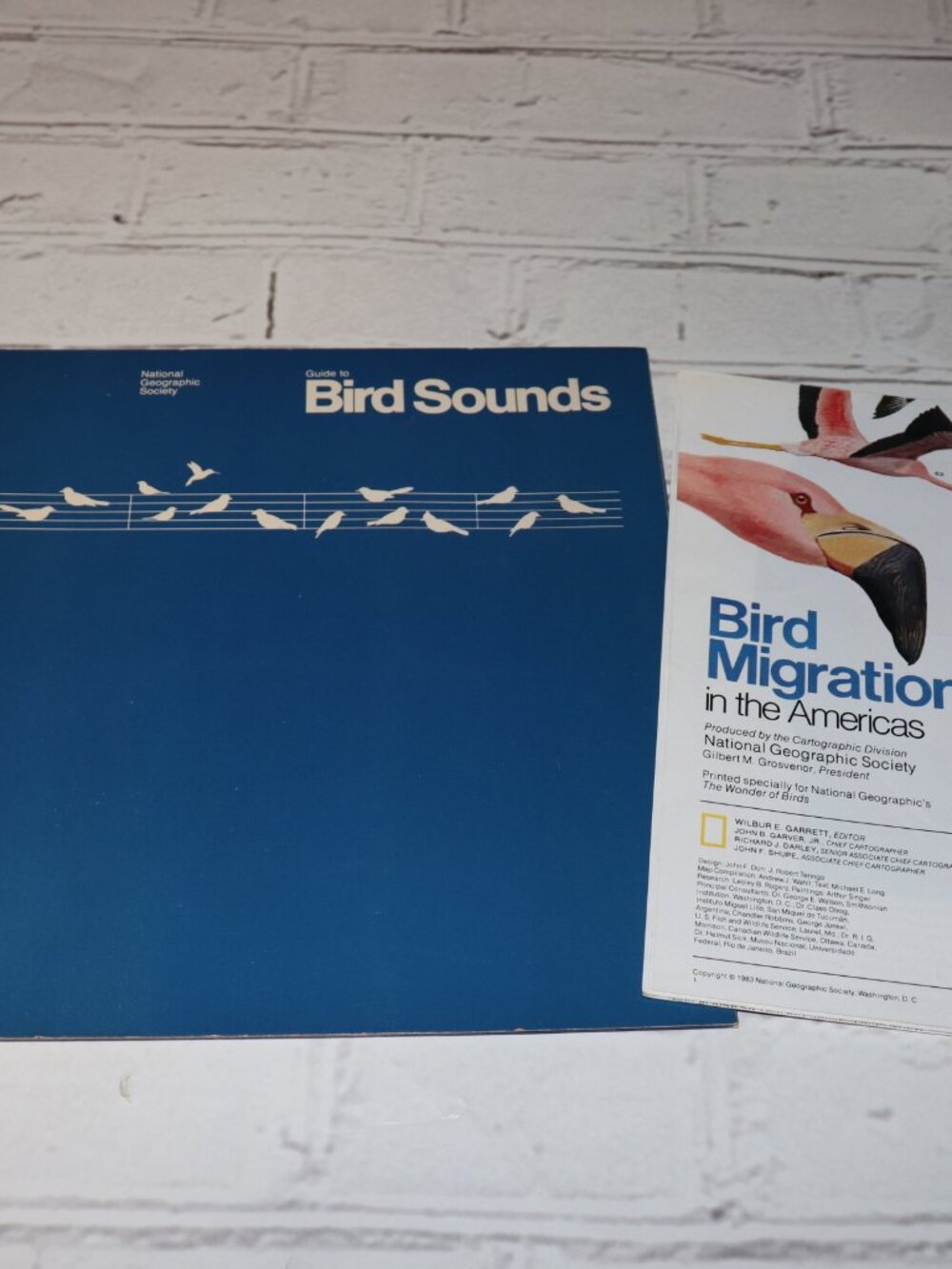 🕊️ 1983 National Geographic “Bird Sounds” Flexi‑Disc Set · Complete Collection